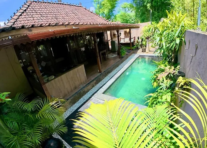 Dede House 2 Bedroom Private Pool Ubud
